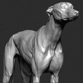3D Greyhound Dog VFX Zbrush Sculpt model